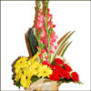 Miss U - Click here to View more details about this Product